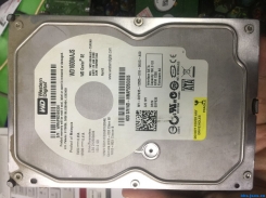 WD1600AAJS数据恢复成功