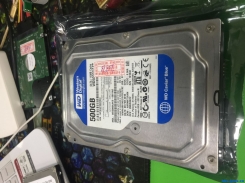 WD5000AAKX数据恢复成功